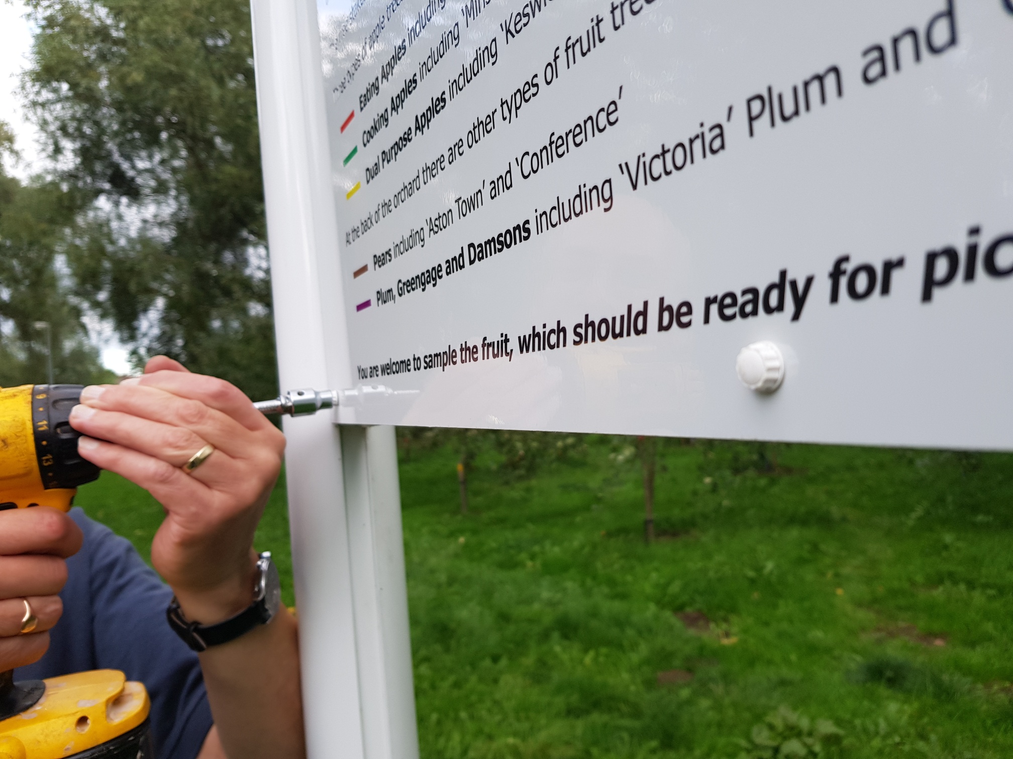 School signage installation