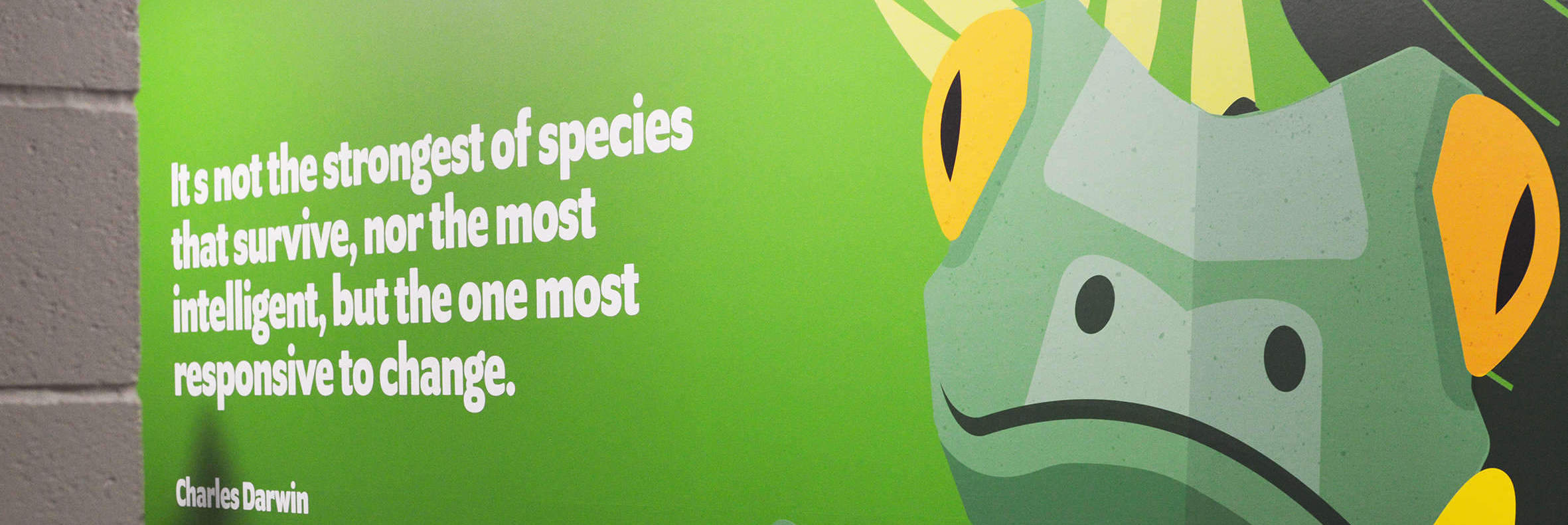 Wall graphics for Reaseheath Mini Zoo