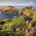 The Joe Cornish Calendar