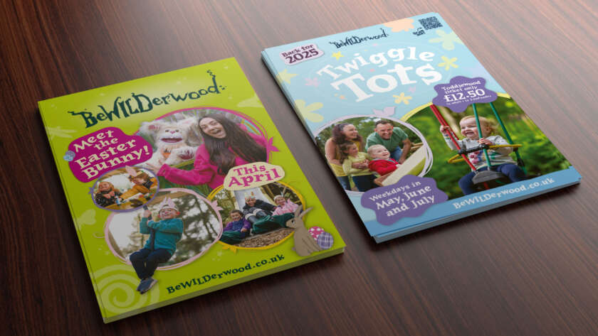 cotebrook printed flyer | Bewilderwood flyer