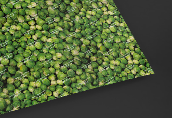 Sprout Wrapping paper