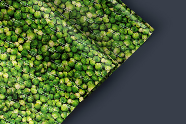 Sprout Wrapping paper sheets | Johnsons Of Nantwich