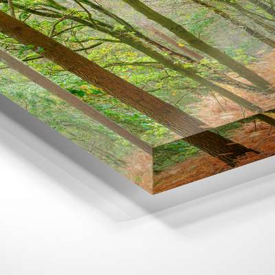 Acrylic Panel