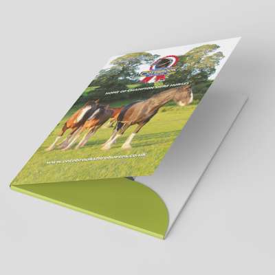 Custom Folder Printing